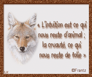 On m'appele la sauvage