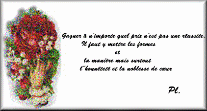 Voil� tout est dit