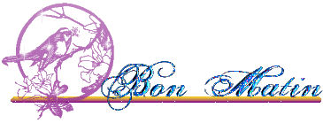 Bon matin