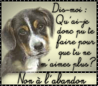 Non � l'abandon